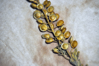 Detalle 2